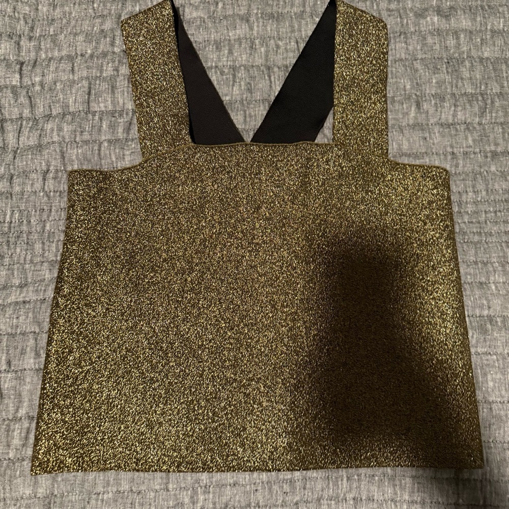 NWT Gianni Bini Veera crop top- size L